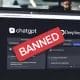 India bans ChatGPT and DeepSeek